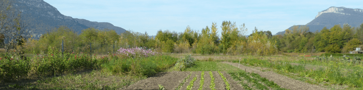 dans le jardin de mon père