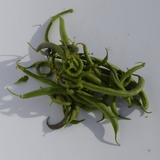 haricots verts